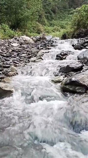 Fresh Water Stream | Nature | Flowing Water | Water Sound | Peaceful | Relaxing | Healing | Mountain
