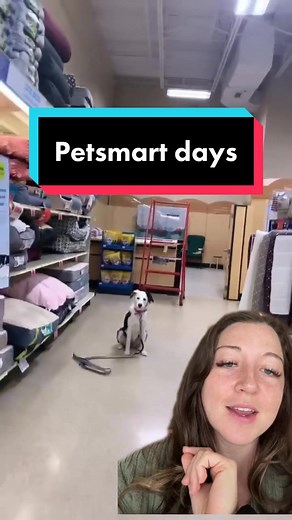 Petsmart Dog Trainer: My Westie's Story
