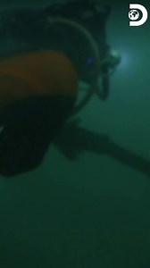 La rivalidad entre Emily y Shawn está a otro nivel. Mientras Shawn alquila una excavadora crucial para su operación minera, Emily no está dispuesta a dejarla ir tan fácil y hace todo lo posible para arrebatarla. ¡La competencia está más feroz que nunca! 🔥⛏️💰 #OroBajoCero Disfruta el contenido de Discovery en MAX. Suscríbete ahora: https://bit.ly/MAX-DiscoveryLA | Discovery Latinoamérica