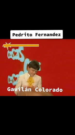 Gavilán: La Canción de Pedrito Fernandez