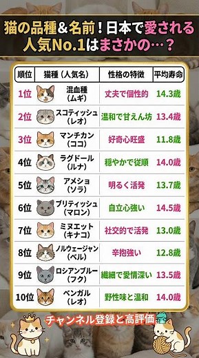 猫の品種＆名前！日本で愛される人気No.1はまさかの…？