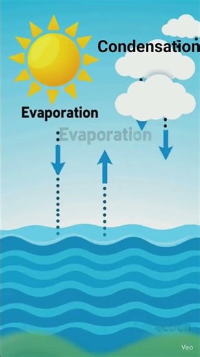 The Water Cycle Explained: How Does Rain Form? 🌧️☀️