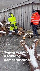 Saging av innved til Oselvar og Nordhordlandsbåt | Oselvarverkstaden