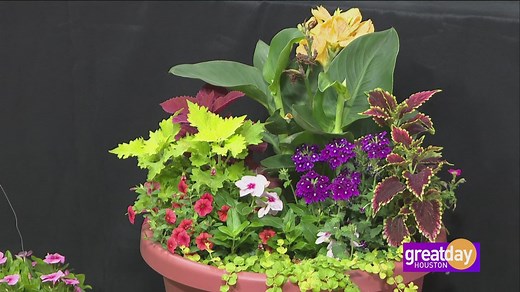 Lawn & Garden Q&A with Skip Richter