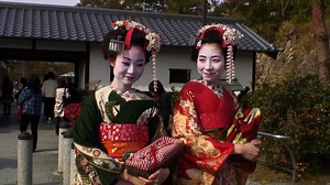 Japan - The Highlights