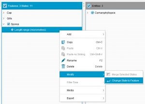 Tutorial 1 – Entering Entities and Features