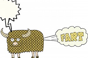 10 Videos Of Animals Farting, Because Fuck It, Why The Heck Not