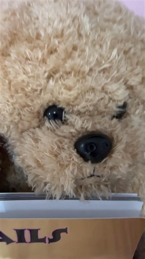 🍑Limited Edition Peach Plush Alert! 🍑 Our sweet Peach has her very own book and plush! 🐶🍑 ✨ “For the Love of Peach” tells the heartwarming story of this brave little girl’s journey — and now you can take home her matching plush! After undergoing heart surgery, Peach is living her best life — and every purchase helps FairyTails continue to save more dogs with medical needs just like her. 💕 📚 Books: $15 🧸 Small Peach Plush: $15 🧸 Large Peach Plush: $30 Stop by and see us to grab yours whil