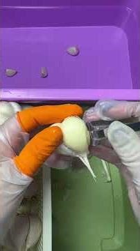 Unpeel the Secret of Cangshan Garlic - The Ultimate Garlic Peeler Hack
