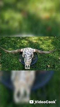 fractal burning highland cow skull #1