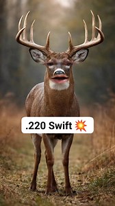 History of the .220 Swift 💥 #hunting #whitetail | Matt's Adventures
