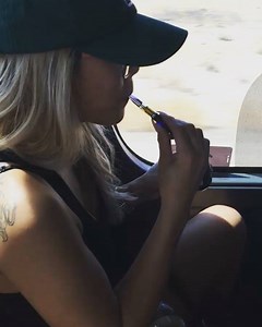 24K views · 44 reactions | How to stay high on a 6 hour megabus ride to Vegas!  @junebuckk -- Travel discreet and smart with #Sploofy www.sploofybrand.com | Sploofy | Facebook