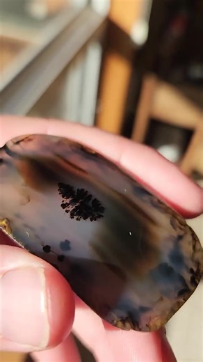 Montana Moss Agate Surface Polished Stone