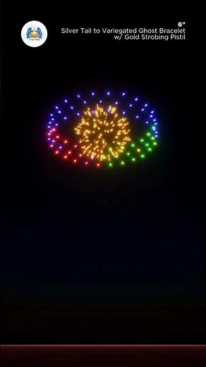 FWsim Shell | Silver Tail to Variegated Ghost Bracelet w/ Gold Strobing Pistil (6")