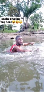40K views · 187 reactions | snake chasing the frog | Gbomato Dumdibabari Wisdom | Facebook
