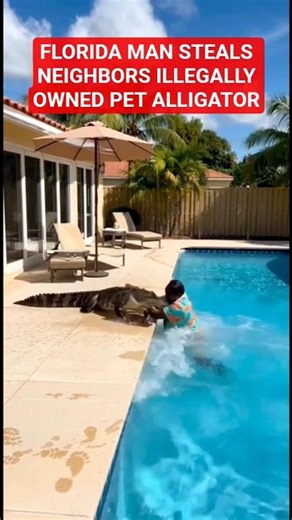 Florida Man Allegedly Steals Neighbors Illegally Owned PET Alligator!😬🤯