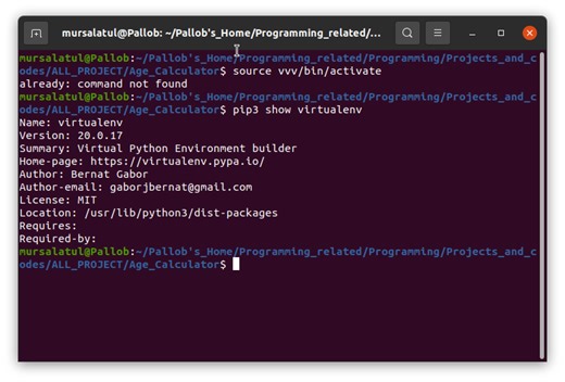 Mastering Python Virtual Environments: A Step-by-Step Guide to Activating venv Across Platforms - Smart.DHgate – Trusted Buying Guides for Global Shoppers