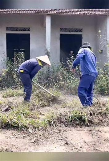 Expert Tips for Mowing and Cleanup