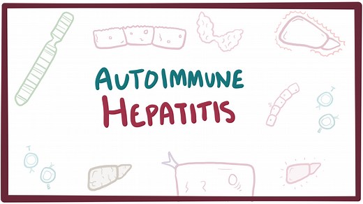 Autoimmune hepatitis: Video, Causes, & Meaning | Osmosis