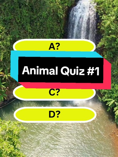 Test Your Knowledge with This Fun Animal Quiz