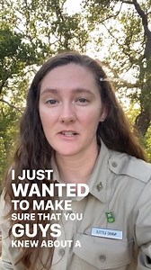 2.5K views · 36 reactions | Job alert! We have an opening for a park interpreter, open for applications through August 1! Our park interpreter puts on the programs at the park, as well as doing outreach and community engagement! Visit TPWD.Texas.gov/jobs for more information and to apply! #texasstateparks #betteroutside #parkinterpreter #conservationjobs #stateparkjobs | Lake Brownwood State Park - Texas Parks and Wildlife | Facebook