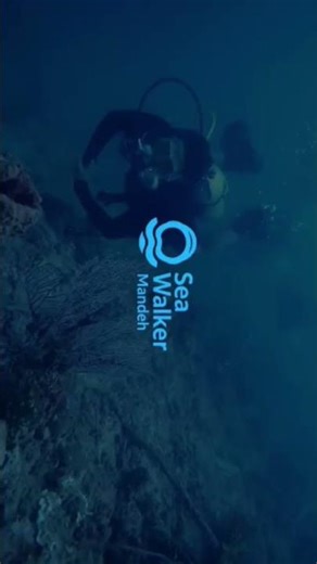 Ada yang baru gays di kawasan mandeh "SeaWalker" yokk buruan booking dari sekarang info trip ☎️ #fyp