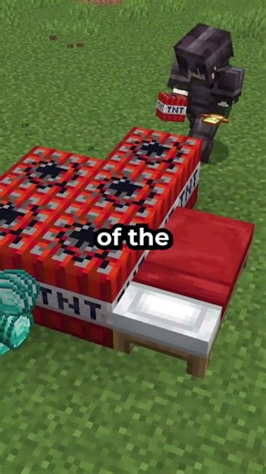 I broke SurvivorSMP in record time #challenge #minecraft #speedrun