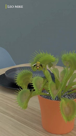 9.2K views · 114 reactions | How Venus Fly Trap Works? | Leo Mike | Facebook