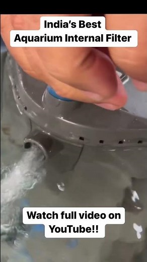 India’s Best Internal Aquarium Filter | Oase Bio Plus | OASE India | Mayur Dev Aquascaper
