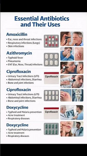 Essential Antibiotics and Their Uses | Complete Medical Guide