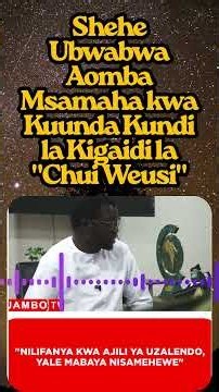 SHEHE UBWABWA AOMBA MSAMAHA KWA KUUNDA KUNDI LA KIGAIDI LA "CHUI WEUSI"