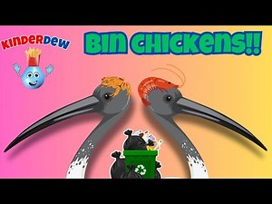 The BEST Bin Chicken (Ibis) Song | Learn & Laugh Challenge| Animal Songs | Educational