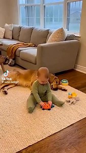 Dogs really are incredible animals. #dogs #doglover #viral #mansbestfriend #protector #kids | Dan & Michelle
