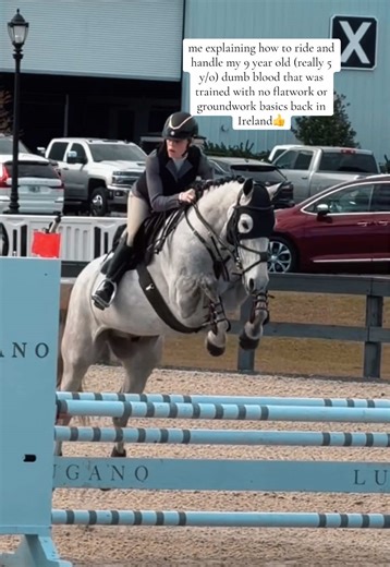 Overcoming Fear: Handling a 9-Year-Old Bloodhound