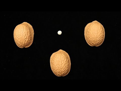 3 Shell Game - Pro Routine