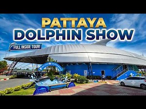 Getting Splashed by Dolphins! 😱 🐬 Pattaya Dolphinarium Full Experience