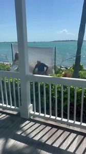 This woman was showing her husband how to sit on a hammock. However, when the husband tried to work it out, he lost his balance and toppled over, causing his wife to laugh out loud. | Jukin Copyright Management | Facebook
