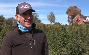 Celebrity pitchman harvesting hemp on Vt. farm, filming TV show