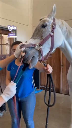 I need this to clean out my brain 😲🧠 | Tyla