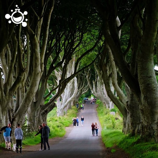 Extraordinary Places To Put On Your Bucket List. #Nature #Travel | Hashem Al-Ghaili