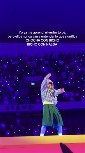 Bad Bunny Concert Highlights in Sydney