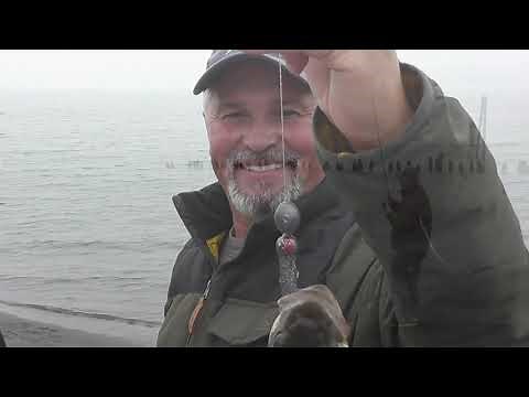 Bank Fishing for Northern Pikeminnow/Columbia River 2020