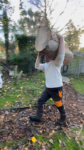 Tree Rangers Arborists & Tree Surgeons !! #team #stihl #teamwork #work #storrington | Tree Rangers