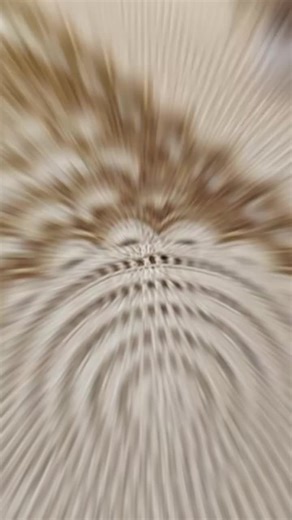 Love a crochet table mat you saw online? I can make it for you! If you've found a beautiful crochet table mat on the internet and want the same design — or something similar — I can customize it just for you. Choose your size, color, and pattern — and I’ll bring it to life with care and quality. Send me a photo or design you love, and let’s create something perfect for your table! Custom orders are open now. Message me to get started!