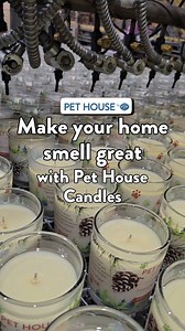 Ever wonder how Pet House Candles are made? 🐶🐱 Here’s a little peek behind the scenes at Pet House Candles—where every pour, every wick, and every ingredient is thoughtfully chosen with your home and your furry family in mind. #PetHouseCandles #BehindTheScenes #PetSafeCandles #CleanBurning #PetFriendlyHome #CandleMaking #HandPouredCandles #FurFamilyApproved #PetParents #HomeThatLovesPets #SafeForPets #PlantBasedCandles #DogMomLife #CatMomLife #MadeWithCare #onefurall #onefurallpets | One Fur A