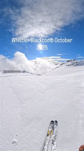Absolute Blower Powder in BC right now 🤣. | Rise & Alpine