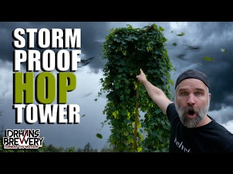 How I Built My Tippable Hop Trellis (DIY Hop Pole for Easy Harvest)
