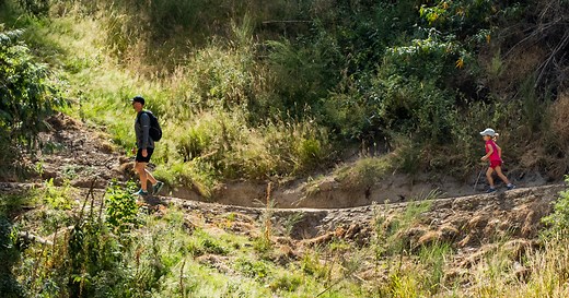 Christchurch Walking Trails – Free Forest & Scenic Hill Hikes