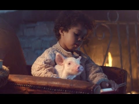 Amazon Echo - Bedtime Story
