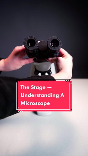Understanding the Microscope Stage